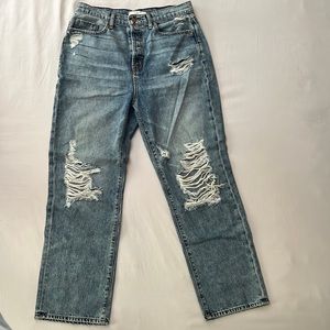 Fidelity Denim Max High Rise Straight Leg Jean